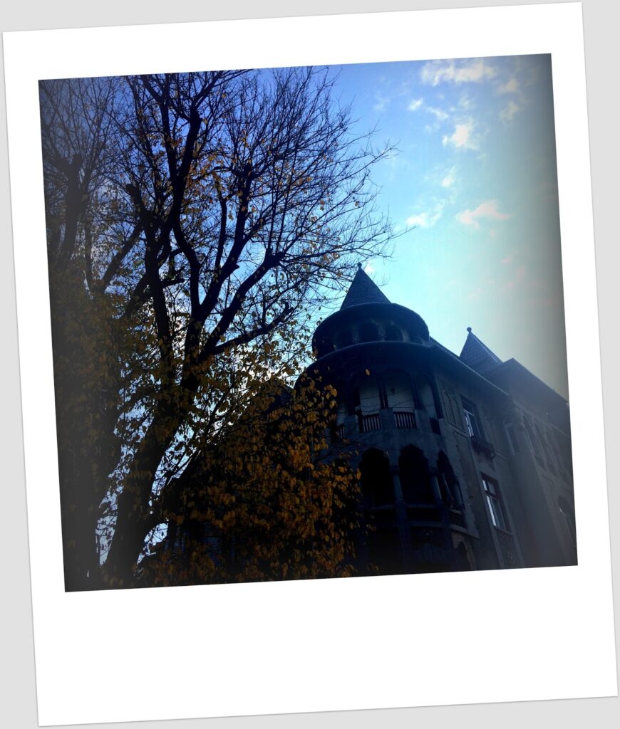 Fotografia polaroid de uma torre cónica de edifício Art Nouveau em Bucareste, parcialmente oculta por uma árvore de folhas amarelas de outono, em silhueta contra céu azul.