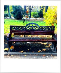 Fotografia polaroid de banco de jardim de madeira escura com estrutura de ferro fundido ornamentado com inscrição "București" e figura de ave de asas abertas, rodeado de folhas de outono no chão e vegetação verde e amarela ao fundo.