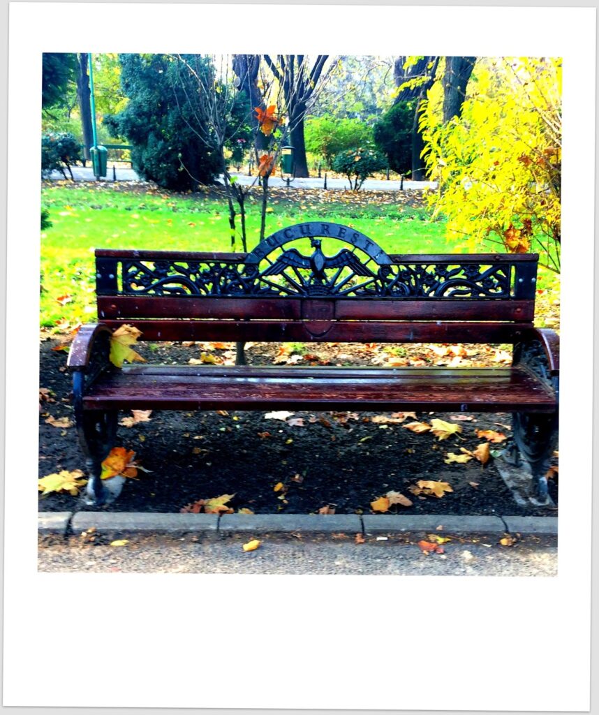 Fotografia polaroid de banco de jardim de madeira escura com estrutura de ferro fundido ornamentado com inscrição "București" e figura de ave de asas abertas, rodeado de folhas de outono no chão e vegetação verde e amarela ao fundo.