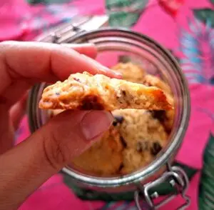 Hand holding half an artisan cookie in profile, with a visible granular and buttery texture inside, over a blurred jar of cookies and pink tropical background.