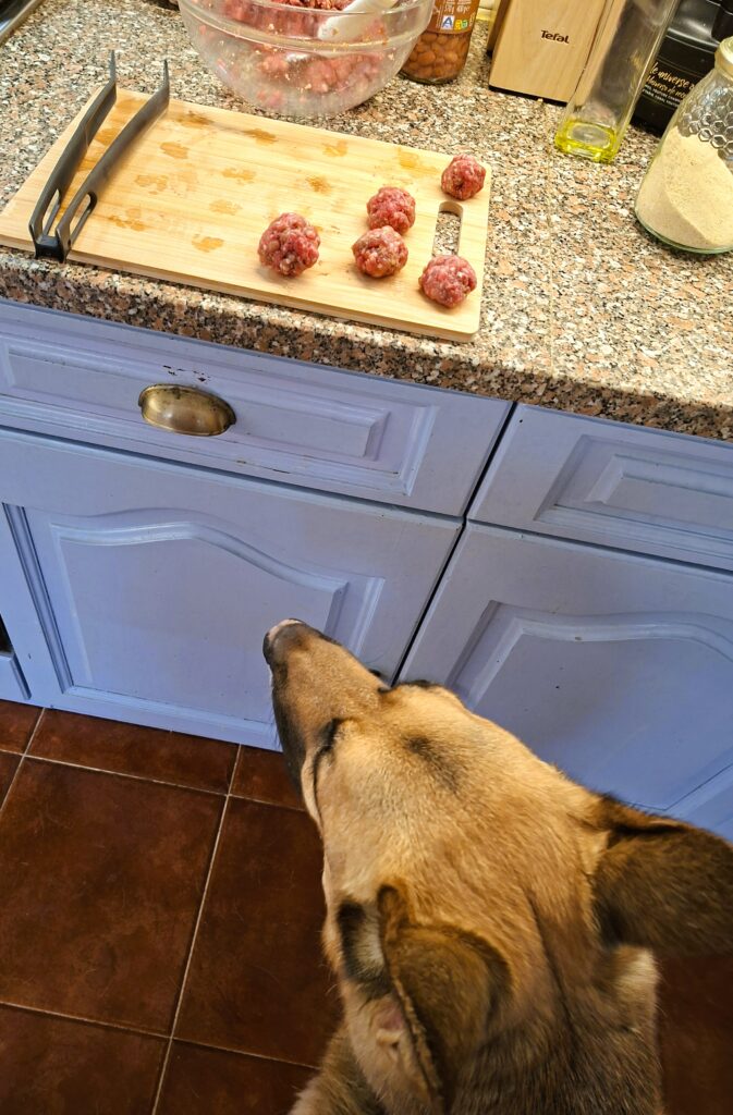 Tábua com almôndegas cruas ao lado de uma taça com a mistura e um cão a observar o processo.