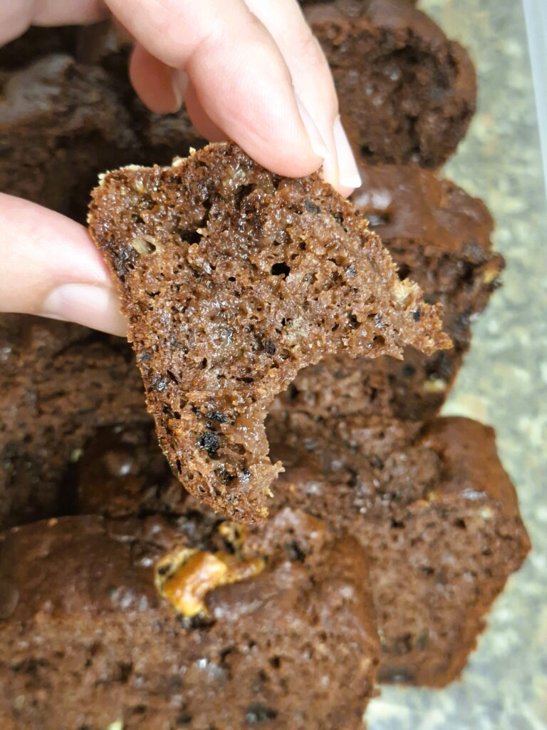 Mão a segurar uma fatia de bolo de chocolate húmido, com pepitas de chocolate distribuídas pela massa.